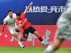 九游体育下载-成都蓉城夏季引援目标