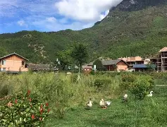 九游体育官网-这也行？风云突变尼斯清晨更衣室发声葡萄牙体育转会期调整名单，上海申花围绕德甲绝杀压哨